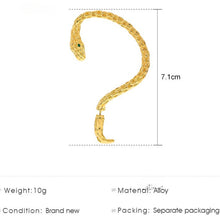 Load image into Gallery viewer, Wrapped Ear Hanging Snake Shaped Earrings
